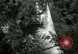 Standbild 48 Internationalen Flower Show New York United States USA, 1965, aus Sekunde 18 historischem Filmmaterial Videoclip 65675021207