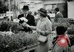 Standbild 48 Internationalen Flower Show New York United States USA, 1965, aus Sekunde 49 historischem Filmmaterial Videoclip 65675021207