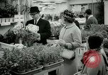 Standbild 48 Internationalen Flower Show New York United States USA, 1965, aus Sekunde 50 historischem Filmmaterial Videoclip 65675021207