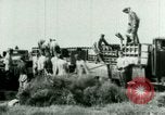 Standbild deutsche Truppen Russland, 1942, aus Sekunde 3 historischem Filmmaterial Videoclip 65675021215