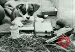 Standbild deutsche Truppen Russland, 1942, aus Sekunde 41 historischem Filmmaterial Videoclip 65675021215