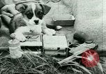 Standbild deutsche Truppen Russland, 1942, aus Sekunde 42 historischem Filmmaterial Videoclip 65675021215