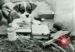 Standbild deutsche Truppen Russland, 1942, aus Sekunde 43 historischem Filmmaterial Videoclip 65675021215