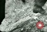 Image les troupes allemandes la Russie, 1942, de la seconde 21 séquences d'archives historiques vidéo 65675021217