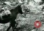 Image les troupes allemandes la Russie, 1942, de la seconde 31 séquences d'archives historiques vidéo 65675021217