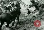 Image les troupes allemandes la Russie, 1942, de la seconde 32 séquences d'archives historiques vidéo 65675021217