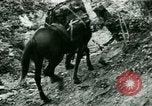 Image les troupes allemandes la Russie, 1942, de la seconde 33 séquences d'archives historiques vidéo 65675021217