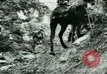 Image les troupes allemandes la Russie, 1942, de la seconde 35 séquences d'archives historiques vidéo 65675021217