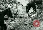 Image les troupes allemandes la Russie, 1942, de la seconde 36 séquences d'archives historiques vidéo 65675021217