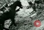 Image les troupes allemandes la Russie, 1942, de la seconde 37 séquences d'archives historiques vidéo 65675021217