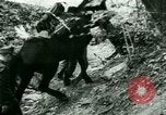 Image les troupes allemandes la Russie, 1942, de la seconde 38 séquences d'archives historiques vidéo 65675021217