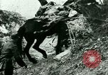Image les troupes allemandes la Russie, 1942, de la seconde 39 séquences d'archives historiques vidéo 65675021217