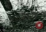 Image les troupes allemandes la Russie, 1942, de la seconde 42 séquences d'archives historiques vidéo 65675021217