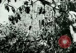 Image les troupes allemandes la Russie, 1942, de la seconde 61 séquences d'archives historiques vidéo 65675021217