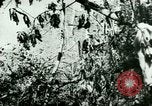 Image les troupes allemandes la Russie, 1942, de la seconde 62 séquences d'archives historiques vidéo 65675021217