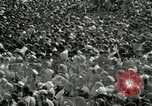 Image Les travailleurs américains protester contre les conditions de travail United States USA, 1963, de la seconde 32 séquences d'archives historiques vidéo 65675021237