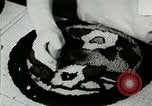 Image of vocational training Berea Kentucky United States USA, 1933, second 31 stock footage video 65675021245