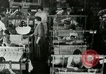 Image of vocational training Berea Kentucky United States USA, 1933, second 36 stock footage video 65675021245
