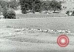 Image of a modern dairy Berea Kentucky United States USA, 1933, second 10 stock footage video 65675021250
