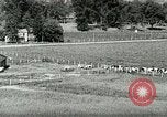 Image of a modern dairy Berea Kentucky United States USA, 1933, second 12 stock footage video 65675021250