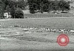 Image of a modern dairy Berea Kentucky United States USA, 1933, second 13 stock footage video 65675021250