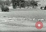 Image of a modern dairy Berea Kentucky United States USA, 1933, second 14 stock footage video 65675021250