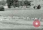 Image of a modern dairy Berea Kentucky United States USA, 1933, second 15 stock footage video 65675021250