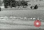 Image of a modern dairy Berea Kentucky United States USA, 1933, second 16 stock footage video 65675021250