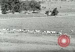 Image of a modern dairy Berea Kentucky United States USA, 1933, second 17 stock footage video 65675021250