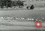 Image of a modern dairy Berea Kentucky United States USA, 1933, second 18 stock footage video 65675021250
