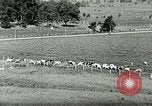 Image of a modern dairy Berea Kentucky United States USA, 1933, second 19 stock footage video 65675021250