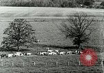 Image of a modern dairy Berea Kentucky United States USA, 1933, second 20 stock footage video 65675021250
