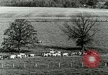Image of a modern dairy Berea Kentucky United States USA, 1933, second 21 stock footage video 65675021250