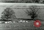 Image of a modern dairy Berea Kentucky United States USA, 1933, second 22 stock footage video 65675021250