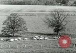 Image of a modern dairy Berea Kentucky United States USA, 1933, second 23 stock footage video 65675021250