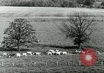 Image of a modern dairy Berea Kentucky United States USA, 1933, second 24 stock footage video 65675021250