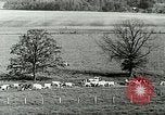 Image of a modern dairy Berea Kentucky United States USA, 1933, second 25 stock footage video 65675021250