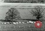 Image of a modern dairy Berea Kentucky United States USA, 1933, second 26 stock footage video 65675021250