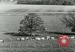 Image of a modern dairy Berea Kentucky United States USA, 1933, second 28 stock footage video 65675021250