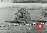 Image of a modern dairy Berea Kentucky United States USA, 1933, second 29 stock footage video 65675021250