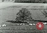 Image of a modern dairy Berea Kentucky United States USA, 1933, second 31 stock footage video 65675021250