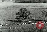 Image of a modern dairy Berea Kentucky United States USA, 1933, second 33 stock footage video 65675021250