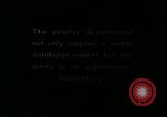Image of poultry farm Berea Kentucky United States USA, 1933, second 1 stock footage video 65675021251