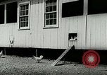 Image of poultry farm Berea Kentucky United States USA, 1933, second 23 stock footage video 65675021251