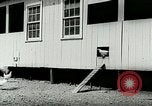 Image of poultry farm Berea Kentucky United States USA, 1933, second 24 stock footage video 65675021251