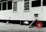Image of poultry farm Berea Kentucky United States USA, 1933, second 27 stock footage video 65675021251