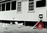 Image of poultry farm Berea Kentucky United States USA, 1933, second 28 stock footage video 65675021251