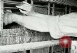 Image of poultry farm Berea Kentucky United States USA, 1933, second 29 stock footage video 65675021251