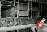 Image of poultry farm Berea Kentucky United States USA, 1933, second 31 stock footage video 65675021251