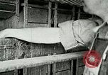 Image of poultry farm Berea Kentucky United States USA, 1933, second 34 stock footage video 65675021251
